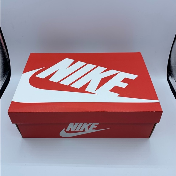 Nike Dunk Low Michigan - Picture 6 of 6